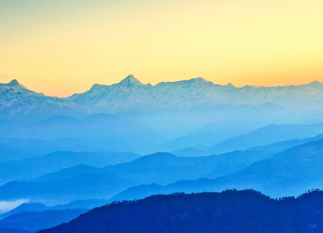 Preserving Heritage: The Ancient Himalayan Techniques Behind the World’s Finest Coffee