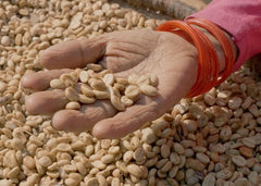 Heartfelt Harvest: Give Back to the Hands That Grow Your Coffee